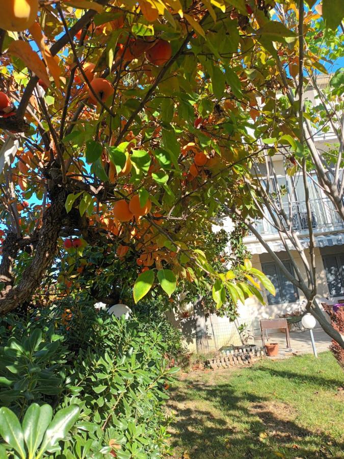Apartamento La Casa Degli Ippocastani Colonnella Exterior foto